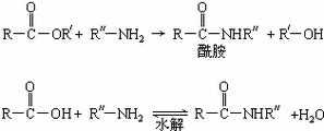 酰胺的反应是什么原因（酰胺的反应是什么原因产生的）