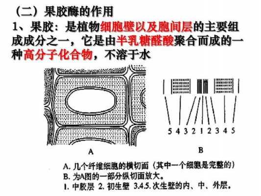 果胶的化学性质是什么（果胶的化学元素）