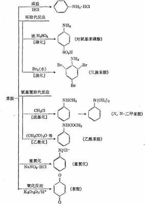 苯胺化学性质是什么（苯胺化学性质是什么类型）