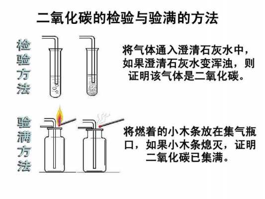 鉴别二氧化碳是什么东西（鉴别二氧化碳和氧气的三种方法）