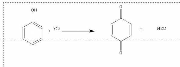 苯酚氧化反应生成什么（苯酚氧化方程式）