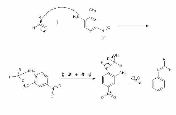 亚氨基能和什么反应（亚氨基和氨基有啥区别）