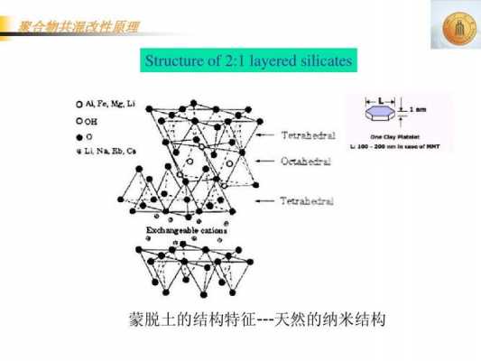 蒙脱土是带什么电荷（蒙脱土也简称为）