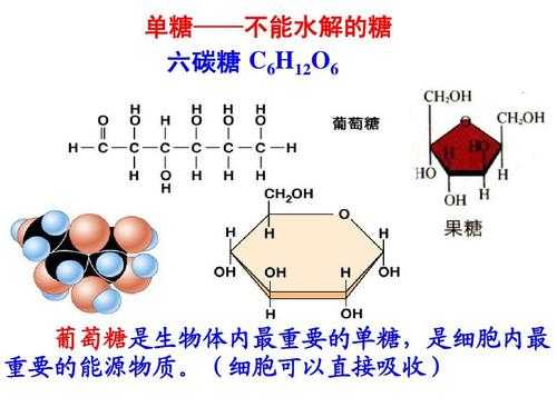 六碳糖和己糖有什么区别（六碳糖是单糖吗）