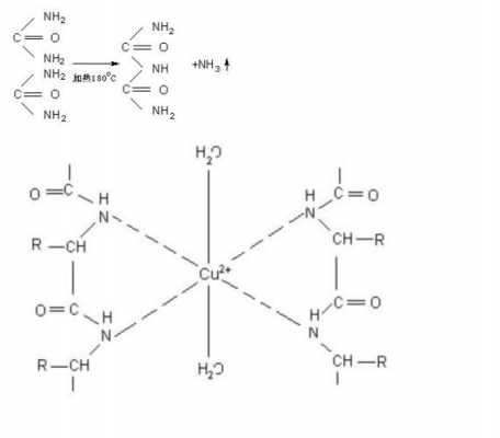 2脲是什么（二脲的生成及反应）