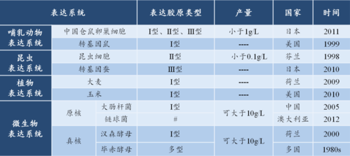 鼠尾胶原蛋白有什么作用（鼠尾胶原蛋白有什么作用）