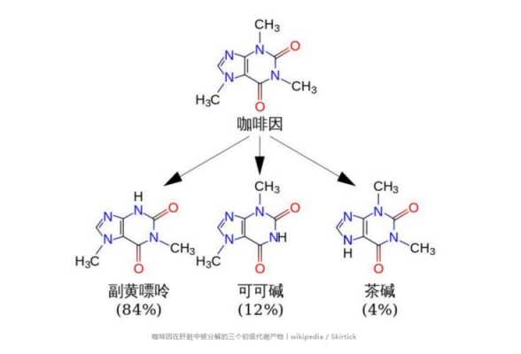 什么是甲基黄嘌呤（甲基黄嘌呤类作用）