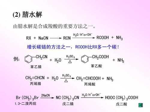 氧代噻唑烷羧酸是什么（氧代戊二酸作用）