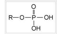 连磷酸结构式为什么要弯曲（磷酸基团连接）
