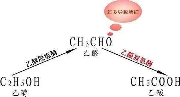 脱氢乙酸溶于什么（脱氢乙酸溶于什么溶剂中）