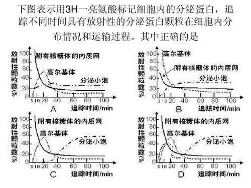 为什么用氢3标记亮氨酸（为什么用3h标记的氨基酸）