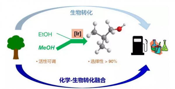 二异丁脂和甲醇有什么反应（异丁醇加甲醇里作用）