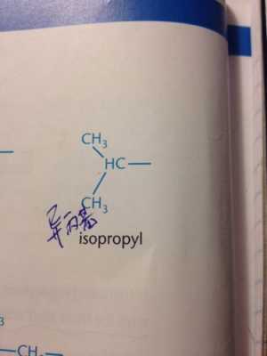 异亚丙基是什么结构（亚异丙基结构式）