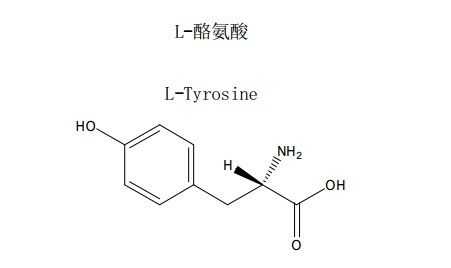 l-酪氨酸溶于什么（酪氨酸溶液）