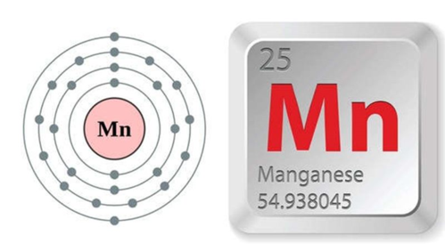 锰是什么结构（锰是由什么构成的）