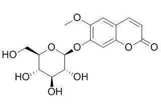 cas04是什么东西（cas44）