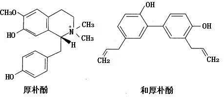 厚朴酚什么化合物（厚朴酚什么化合物含量最高）