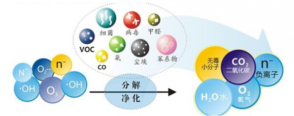 氨氧基是什么（氨氧化是什么）