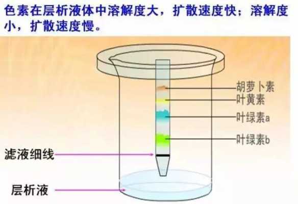 什么使溴麝香草酚蓝（为什么溴麝香草酚蓝水溶液会由蓝变绿再变黄）